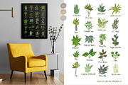 Plants in pots. Vector constructor., an Animal Illustration by anna khramtsova (Thumbnail 5 of 12)