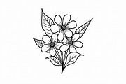 Hand Drawn Floral Coloring Pages, an Illustration by hafijul (Thumbnail 8 of 9)