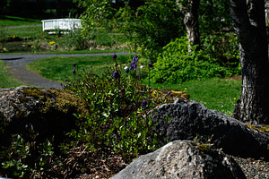 Stunning park view featuring vivid greenery and floral elements with rocky deta, a Photo by AS photostudio