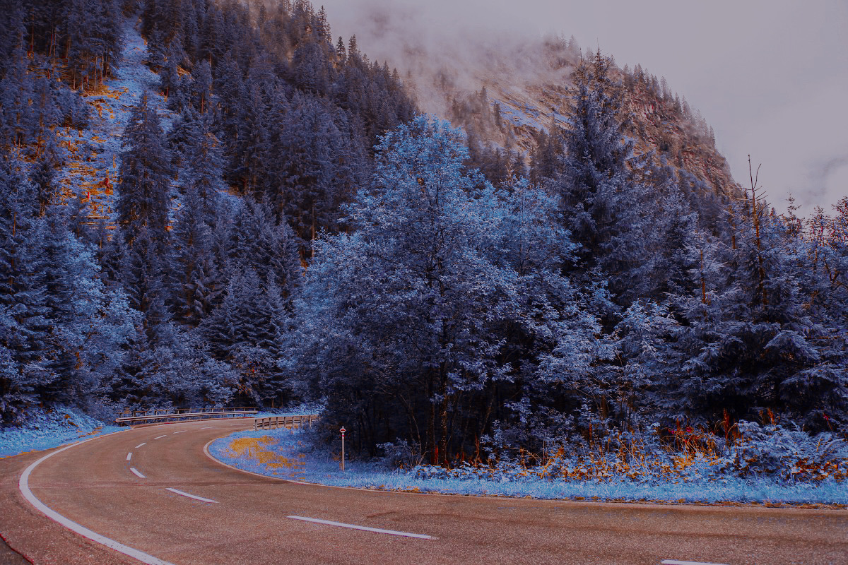 454 Infrared Fantasy Pro LUTs, a Preset Add-On by ShutterPro (Photo 26 of 48)