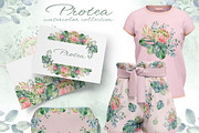 PROTEA watercolor flowers clipart, an Illustration by LenArt (Thumbnail 14 of 16)
