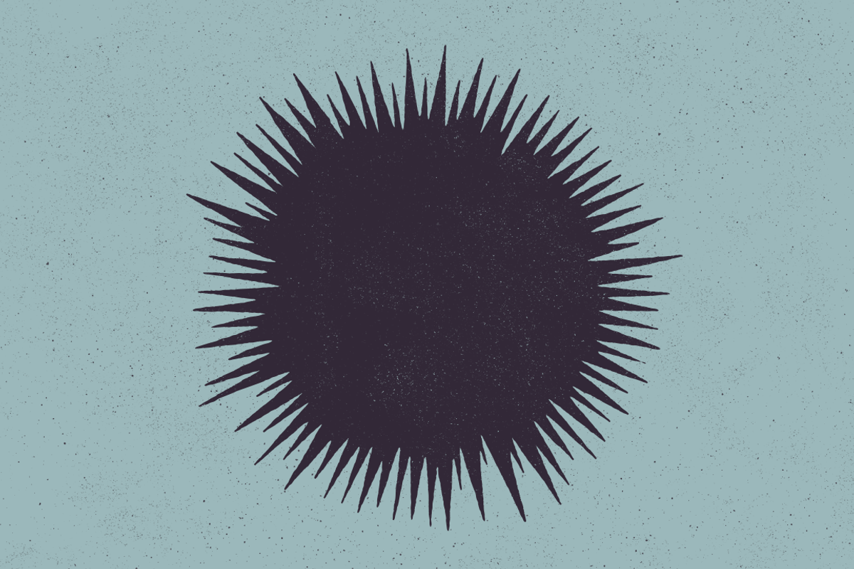10 StarBurst - Hand Illustrated, an Illustration by GhostlyPixels (Photo 3 of 5)