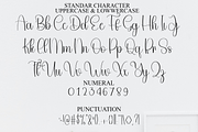 Daisy Vintage, a Handwritten Font by FreshTypeINK (Thumbnail 3 of 8)