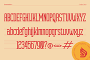 Micelar | Display Slab Serif, a Slab Serif Font by Denustudios (Thumbnail 13 of 15)