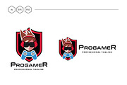 Professional Gamer Logo, a Branding & Logo Template by Design_Planet (Thumbnail 4 of 4)