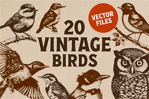 20 Vintage Birds Vector Graphics