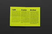 BeOkay Display Serif, a Serif Font by Ryul Davidson (Thumbnail 15 of 17)