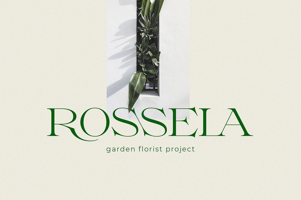 Milssky || Modern & Classy Ligature, a Serif Font by BrandSemut (Photo 5 of 16)
