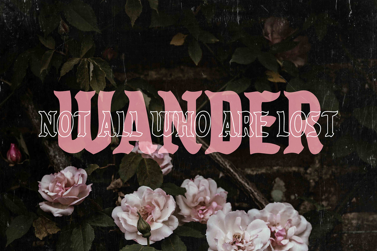 Premium Font Bundle, a Script Font by Flycatcher Design (Photo 30 of 140)