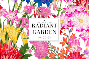 Vibrant Seamless Floral Patterns, a Pattern Graphic by LEAFure