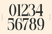 CS Beffalo – Elegant Serif Font, a Serif Font by Craft Supply Co. (Thumbnail 4 of 8)