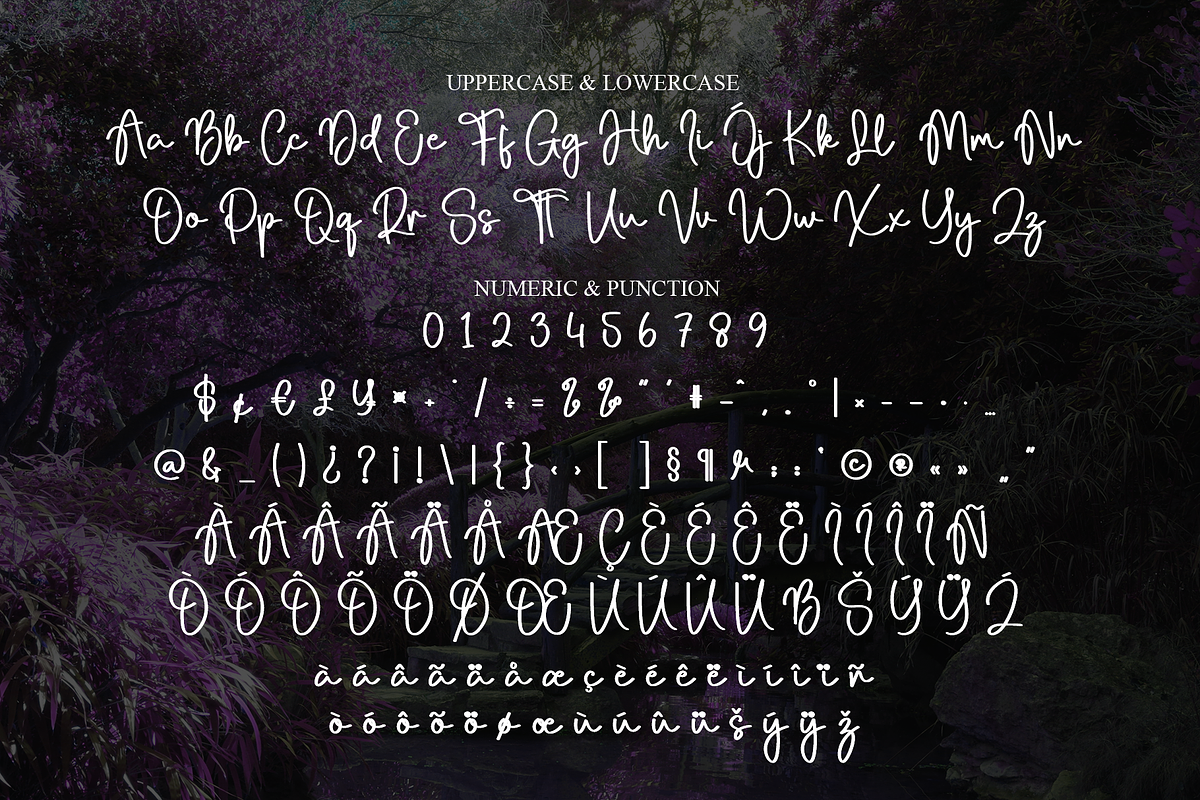 Fantasy | Script Font, a Handwritten Font by Scratchones (Photo 7 of 9)