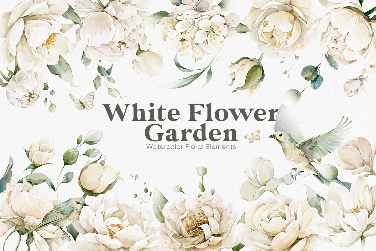 Watercolor White Flowers Collection, a Decorative Illustration by Damian Roh (Photo 1 of 16)