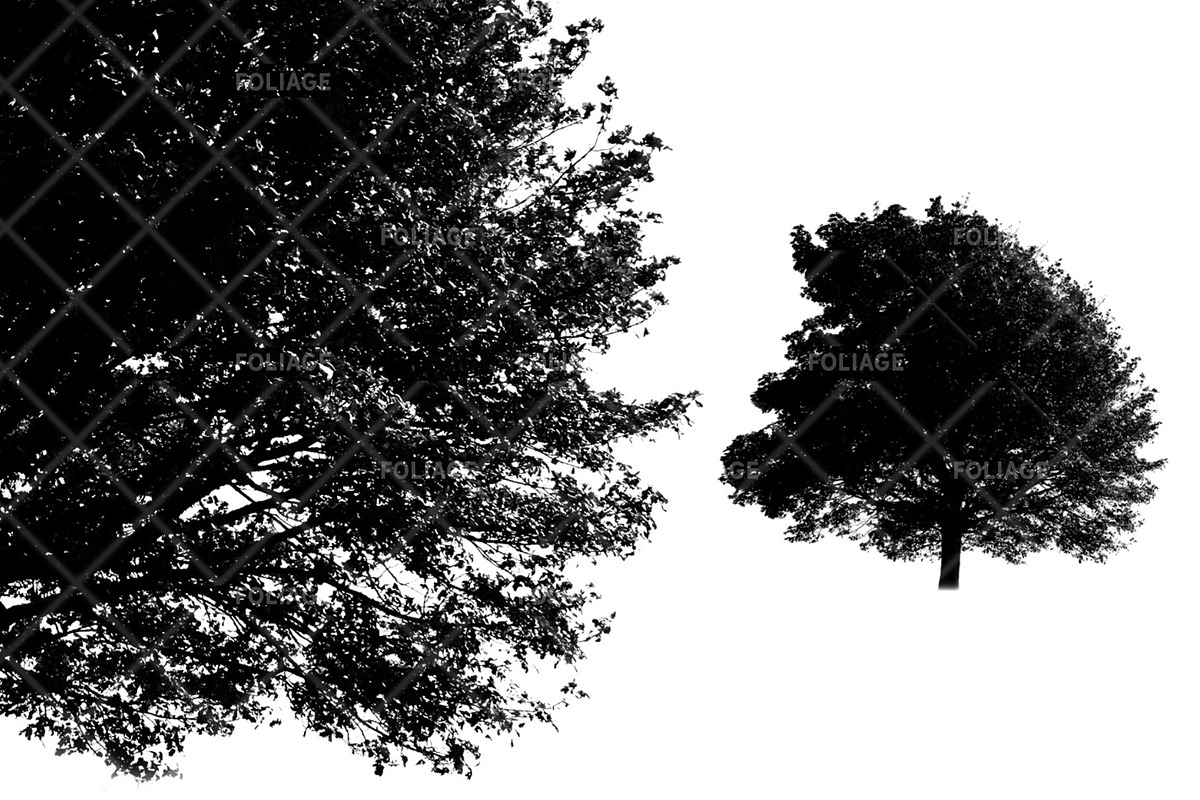 Foliage 2 Brush Set, a Brush Add-On by Zsolt Kosa Art (Photo 2 of 8)