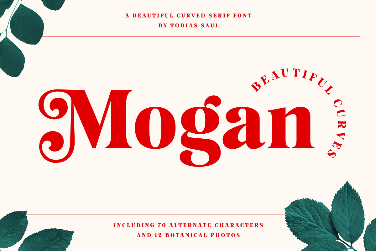 Mogan Serif Font + Extras, a Font by Heritage Type Co. (Photo 1 of 16)