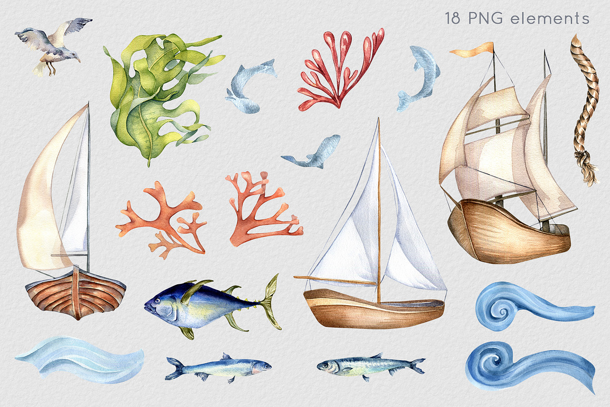 Marine collection watercolor clipart, an Illustration by Kate Lanbina (Photo 2 of 13)