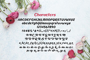 Mirando - Sans Serif with Alternates, a Sans Serif Font by cove703 (Thumbnail 13 of 16)