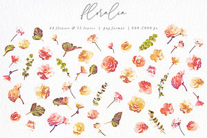 Floralia Watercolor Florals