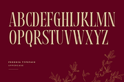 Prodhia | Modern Serif Font, a Serif Font by Masyafi Studio (Thumbnail 2 of 8)