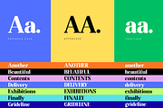 Altaries, a Serif Font by Gatype (Thumbnail 3 of 15)