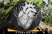 Anatomical Human Heart Flames Smoke, a Background Graphic by LaseredNinja (Thumbnail 6 of 7)