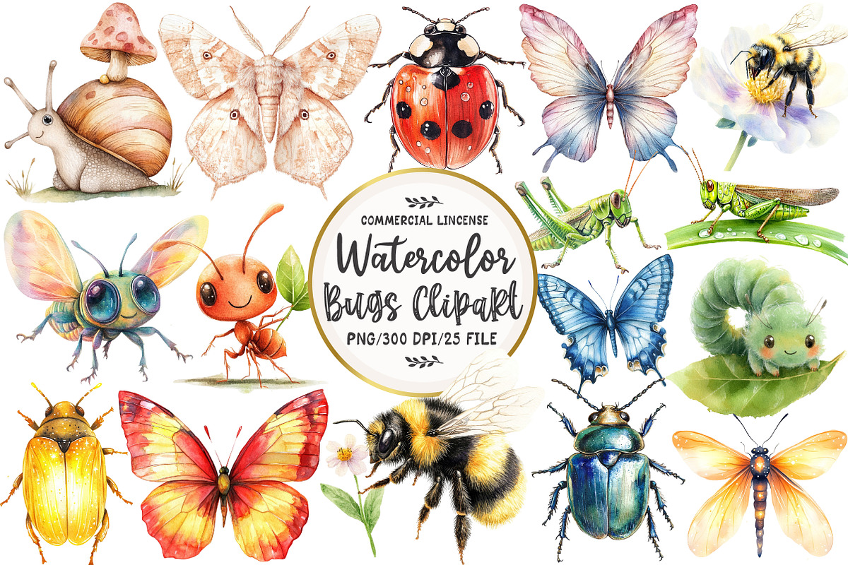 Watercolor Bugs Sublimation Clipart, an Illustration by OK Design (Photo 1 of 5)