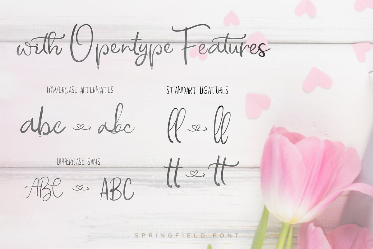 Springfield Font Duo, a Script Font by Chocotype Std (Photo 9 of 12)