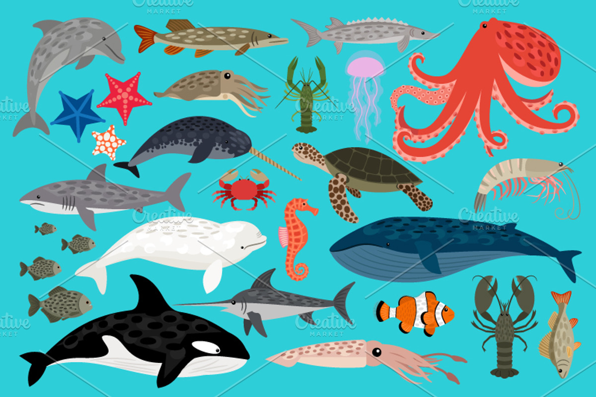 Sea animals set, an Object Graphic by ianakauri (Photo 4 of 4)