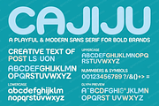 Cajiju - Sophisticated Serif, a Serif Font by Astuti Studio (Thumbnail 10 of 24)