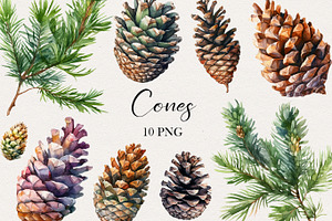 Fir Cones Watercolor Clipart. AI