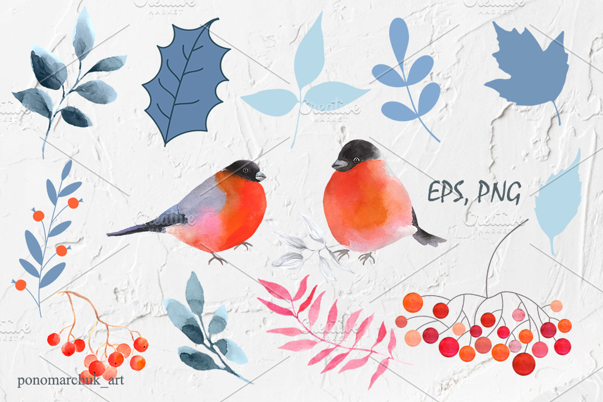 Winter Birds. Vector collection, a Decorative Illustration by Colibri Watercolor (Photo 1 of 9)