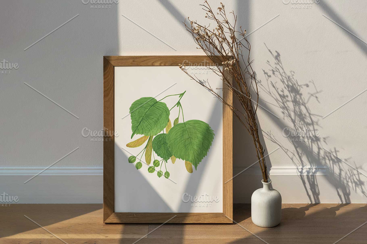 Linden tree leaves and seeds, a Pattern Graphic by Contes_de_fée (Photo 9 of 9)