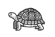 Turtle Line Art Illustration Bundle, an Illustration by Creativeshirt (Thumbnail 22 of 48)