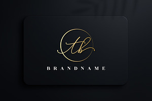 Letter TB Handwritten Signature Logo