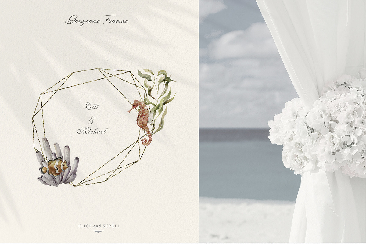 Underwater Magic. Marine Bundle., an Animal Illustration by Designwork (Photo 7 of 21)