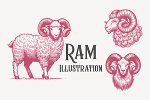 Elegant Vintage Ram Illustration, an Animal Illustration by MkStudio