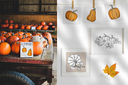 Autumn Pumpkins Hand Drawn Graphics, a Food Illustration by Olya Haifisch (Thumbnail 9 of 9)