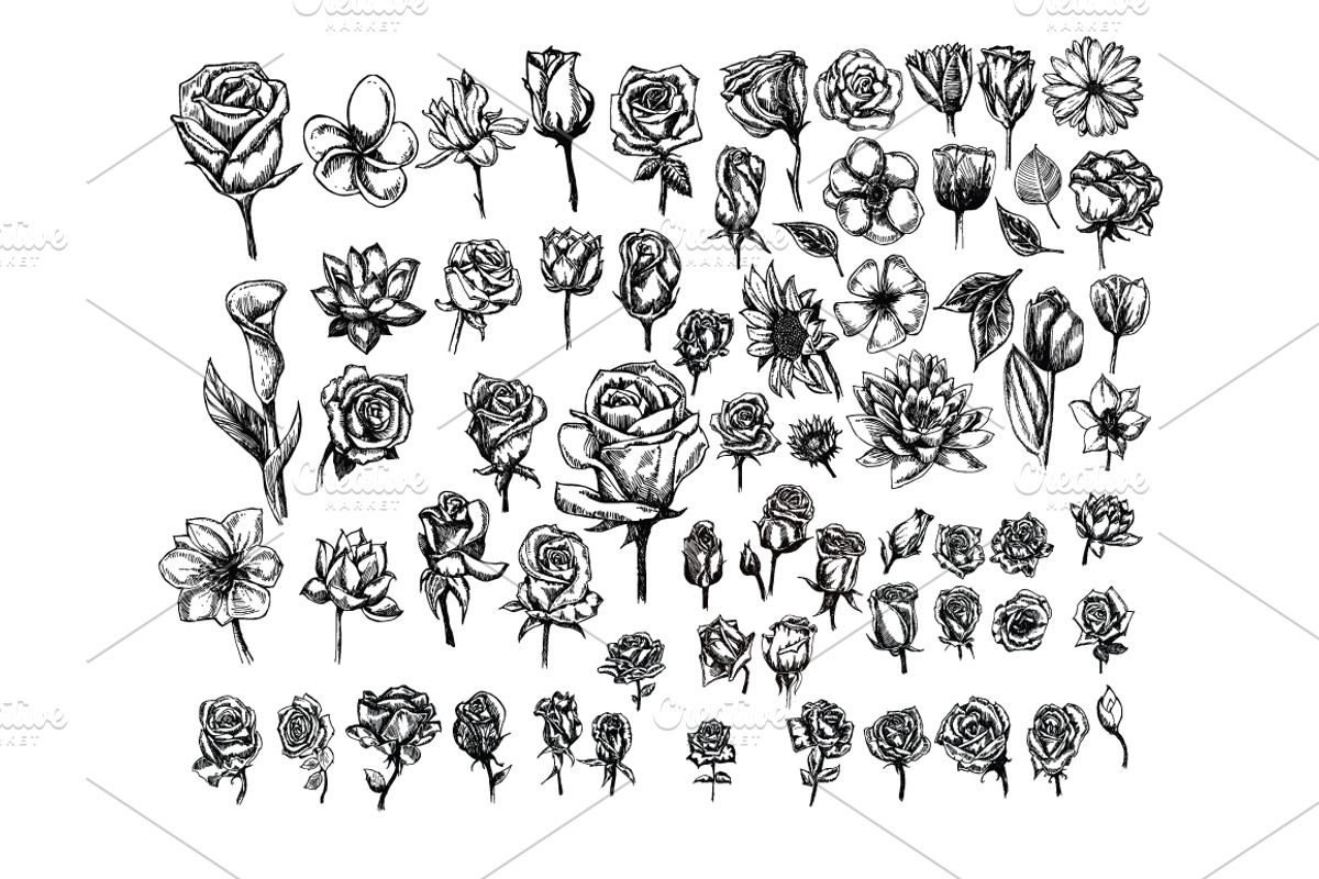 15151 in 1 Doodle Giant bundle, an Object Illustration by TKDoodle (Photo 121 of 144)