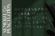 Rollgates Fabulous, a Font by Cotbada_studio (Thumbnail 11 of 12)
