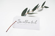 Pringle & Tweed Script, a Script Font by Nicky Laatz (Thumbnail 10 of 13)