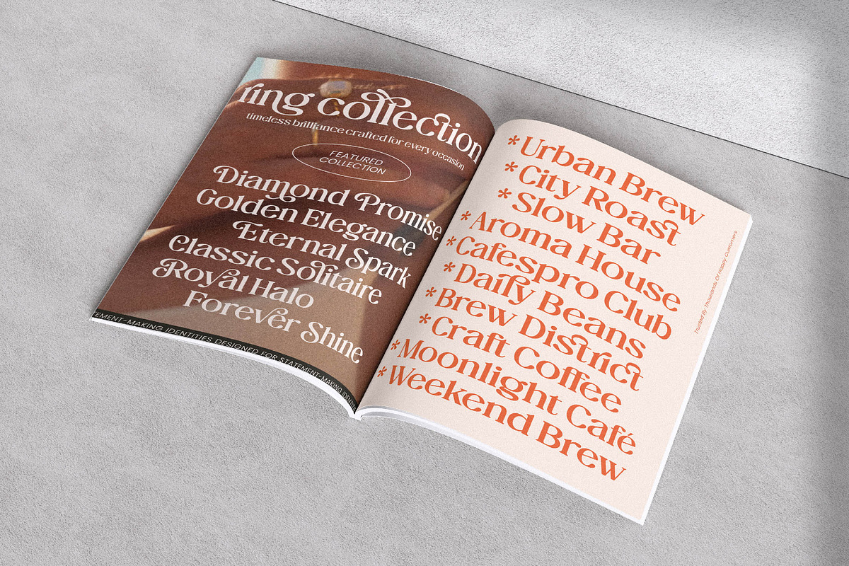 The Daily Midtones Decorative Serif, a Serif Font by AmorfaType (Photo 7 of 8)