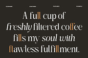 Eléonore – Serif Font for Branding, a Serif Font by Inviline.co (Thumbnail 7 of 15)