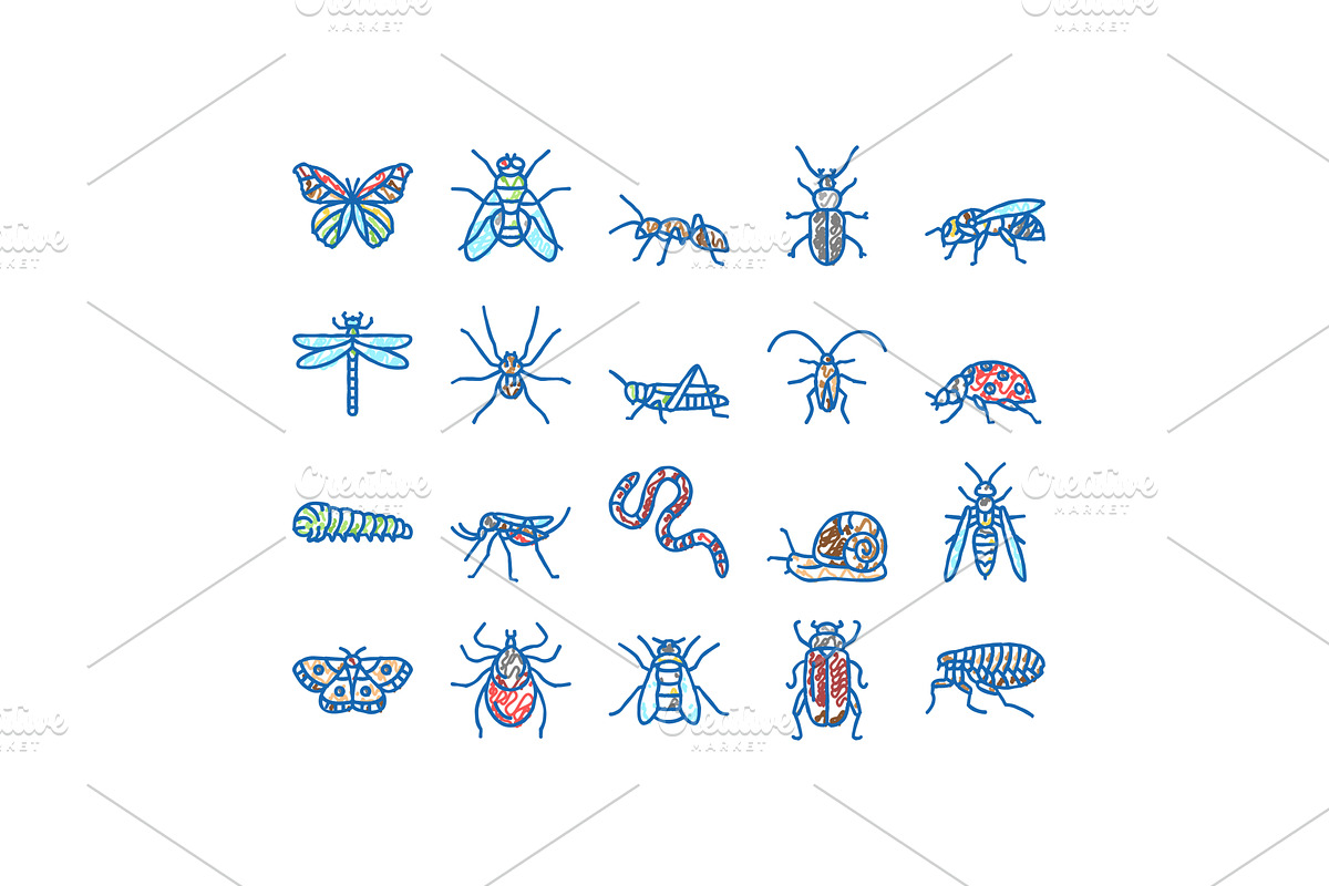 Insect, Spider And Bug Wildlife, an Object Illustration by pikepicture