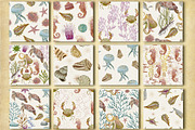 Marine Naturalist Collection, a Graphic by Kattypainting (Thumbnail 5 of 10)
