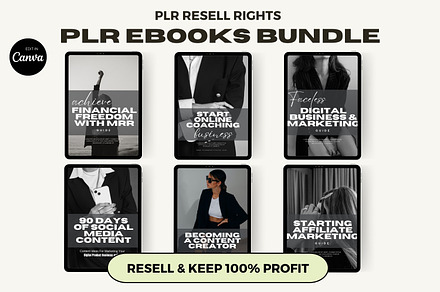 PLR Ebooks Bundle to Resell MRR, a Magazine Template by The Thrive Society