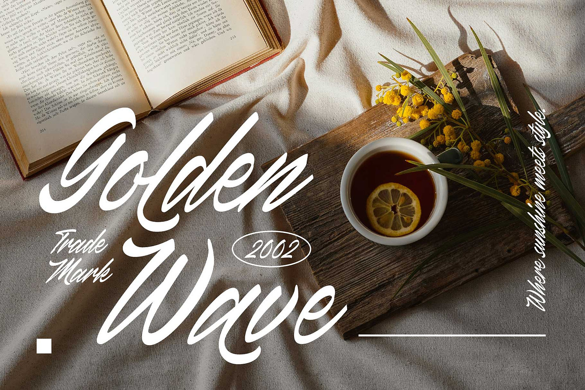 Canlord - Brush Font, a Script Font by Novitype (Photo 4 of 11)
