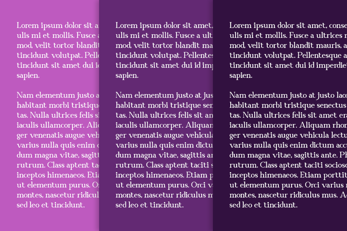 Magnolia - Business Font, a Serif Font by RockboyStd (Photo 6 of 12)