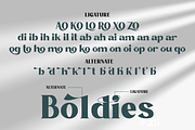 Boldies - Modern Bold Serif Font, a Serif Font by Illushvara Design (Thumbnail 10 of 11)