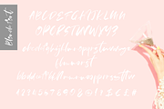 Blonde, a Script Font by Larin Type Co. (Thumbnail 8 of 8)