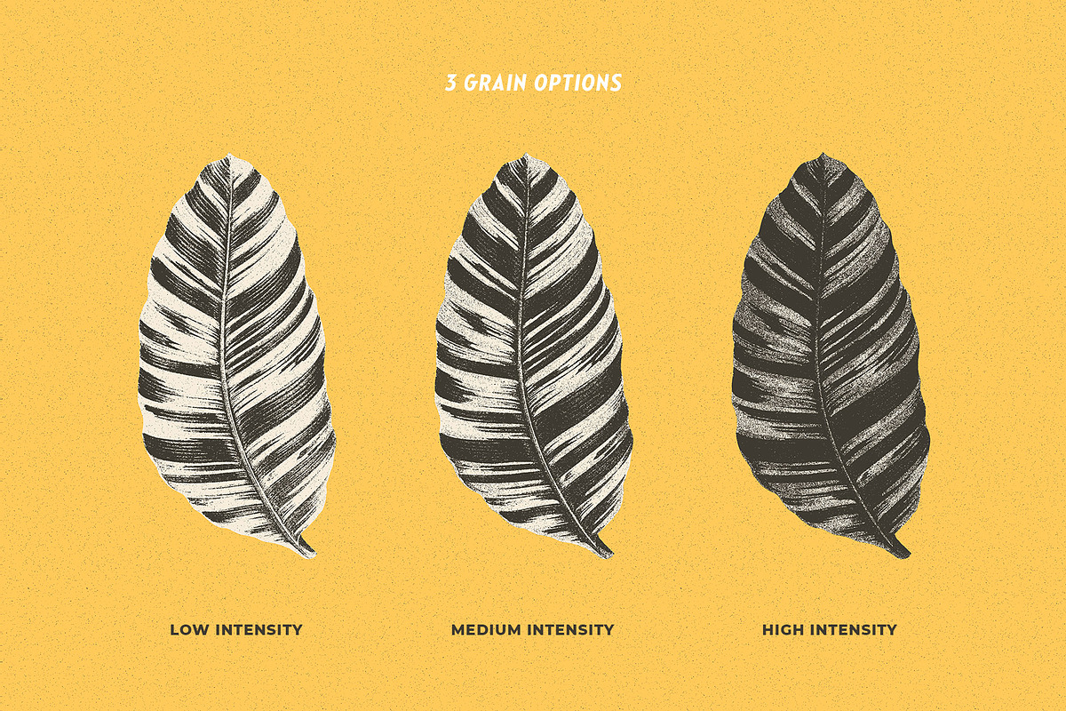 Risograph Grain Effect, a Layer Style Add-On by pixelbuddha.net (Photo 3 of 9)